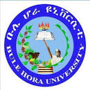 Bule Hora University