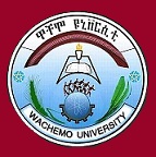 Wachemo University