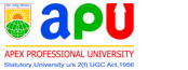 Apex Professional University Pasighat