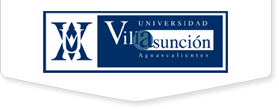 Universidad Villasunción