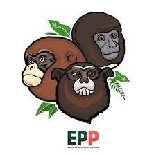 Asociación Equipo Primatológico del Perú