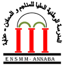 Ecole Nationale Supérieure des Mines et de la Métallurgie Logo