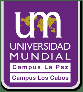 Universidad Mundial