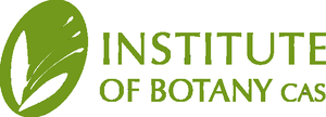 Institute of Botany CAS