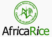 Africa Rice Center