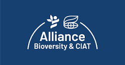 Alliance of Bioversity International and the International Center for Tropical Agriculture (CIAT)
