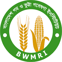Bangladesh Wheat and Maize Research Institute