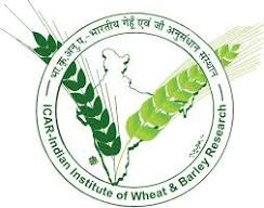 ICAR - Indian Institute of Wheat and Barley Research