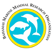 Bahamas Marine Mammal Research Organisation Logo
