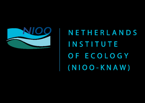Netherlands Institute of Ecology