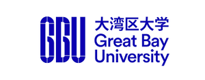 Great Bay University