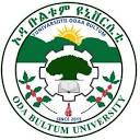 Oda Bultum University