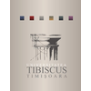 Tibiscus University Timisoara