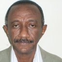 Abd Elmoneim Elkhalifa