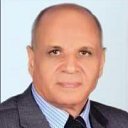 Mohamed E Nasr