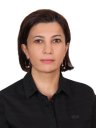 Didem Kutlu