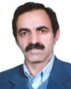 Mahmoud Feiz