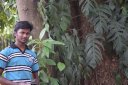 Karnan C