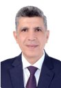 Ayman A El-Badry