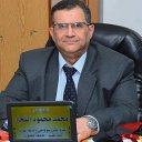 Mohammed Mahmoud El-Naggar