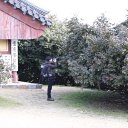 Dong Chan Son