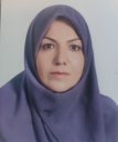 M Mohammadi
