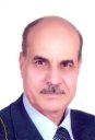 Mahmoud M Khater