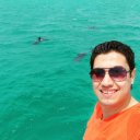 Ahmed A. El-Kalaawy