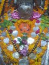 Santosh K Tripathi