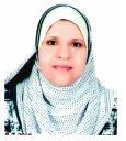 Sabrin Ragab Mohamed Ibrahim, SRM Ibrahim