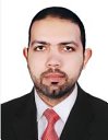 Hany S Abdo