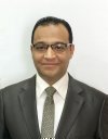Amr S Abouzied