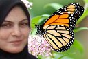 Enas E. Nasr