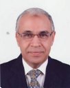 Hasan Salah Kamel Abdel-Nasser