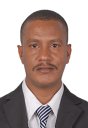Emadeldeen Hassan Mohammed