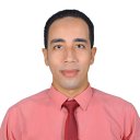 Elwy A. Mohamed
