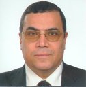 Gamal Samy Aly