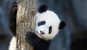 LU WENLONG