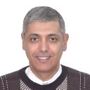 Ali M Alakeel