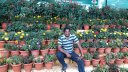 Prabakaran V