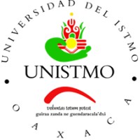 Análisis del Desempeño Académico: Universidad del Istmo México – Perspectiva 2024-2025