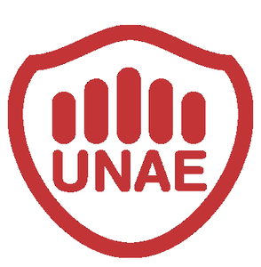 Análisis del Rendimiento Académico de la Universidad Autónoma de Encarnación
