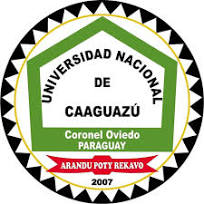 Universidad Nacional de Caaguazú: Análisis del Ranking Académico y Posición de Investigadores en 2025