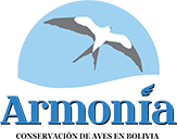 Asociación Armonía, Bolivia: Evaluación del Rendimiento Académico y Rankings Globales en 2025