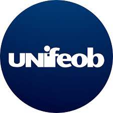 Análise do Desempenho Acadêmico do Centro Universitário de Itajubá