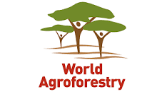 World Agroforestry (ICRAF): A Global Leader in Agricultural and Environmental Research