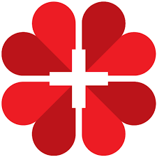 Institute for Cardiovascular Disease Dedinje: Akademska Analiza Rangiranja i H-indeksa