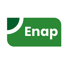 Escola Nacional da Administração Pública: Análise de Desempenho Acadêmico e Ranking Internacional