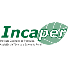 Análise do Desempenho Acadêmico do Instituo Capixaba de Pesquisa